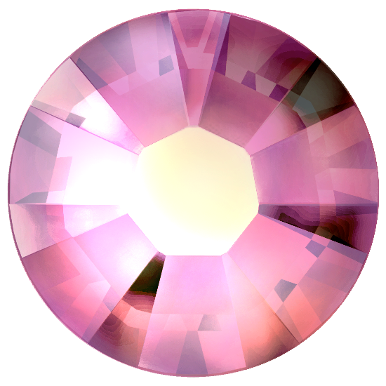 Rose Aurore Boreale